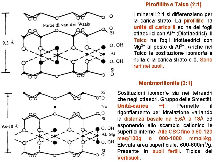 Pirofillite e Talco (2: 1) I minerali 2: 1 si differenziano per la carica