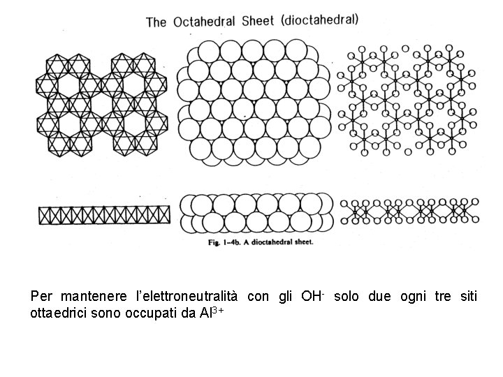 Per mantenere l’elettroneutralità con gli OH- solo due ogni tre siti ottaedrici sono occupati