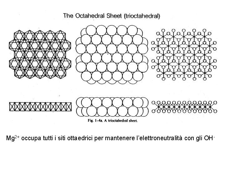 Mg 2+ occupa tutti i siti ottaedrici per mantenere l’elettroneutralità con gli OH- 