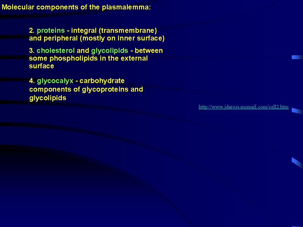 Molecular components of the plasmalemma: 2. proteins - integral (transmembrane) and peripheral (mostly on