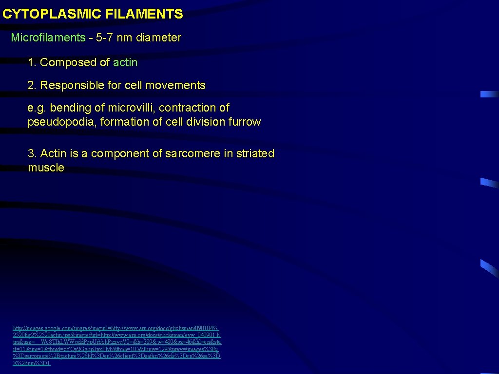 CYTOPLASMIC FILAMENTS Microfilaments - 5 -7 nm diameter 1. Composed of actin 2. Responsible