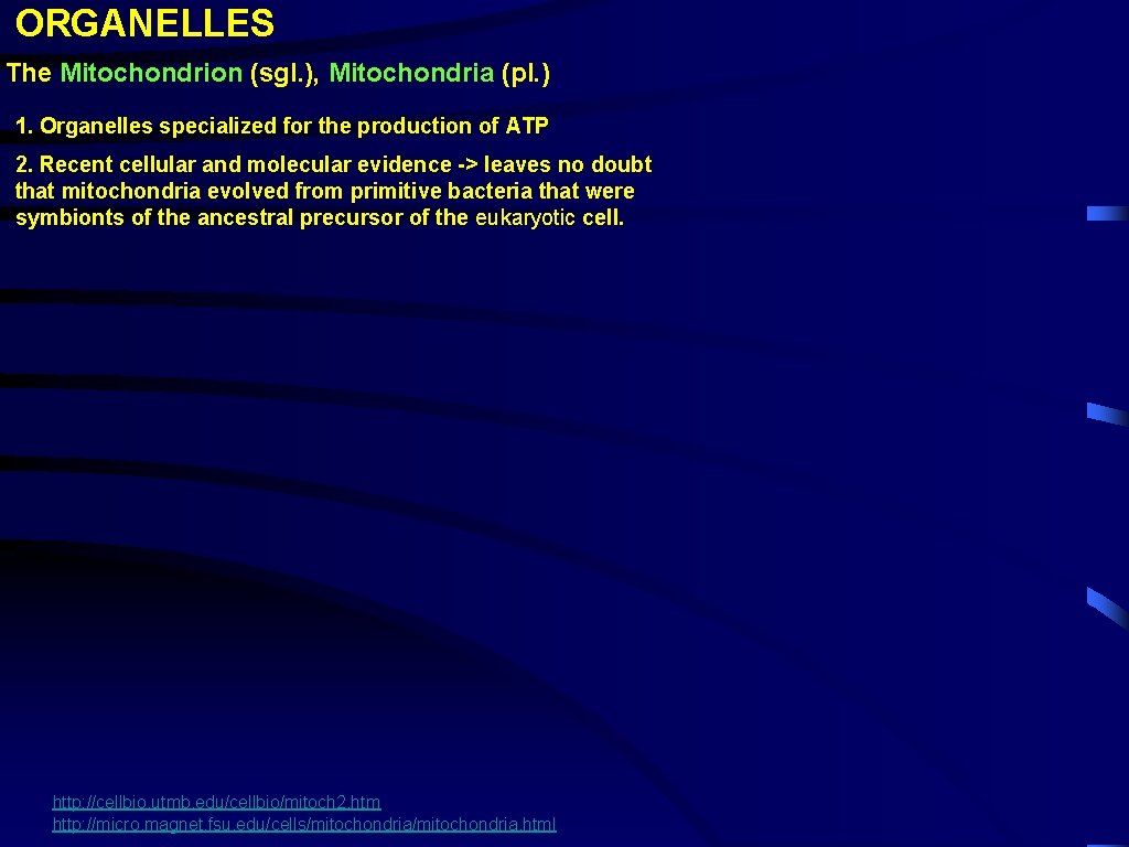 ORGANELLES The Mitochondrion (sgl. ), Mitochondria (pl. ) 1. Organelles specialized for the production