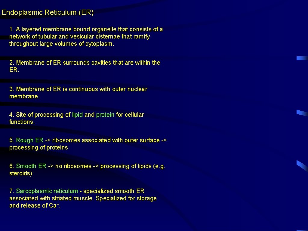 Endoplasmic Reticulum (ER) 1. A layered membrane bound organelle that consists of a network