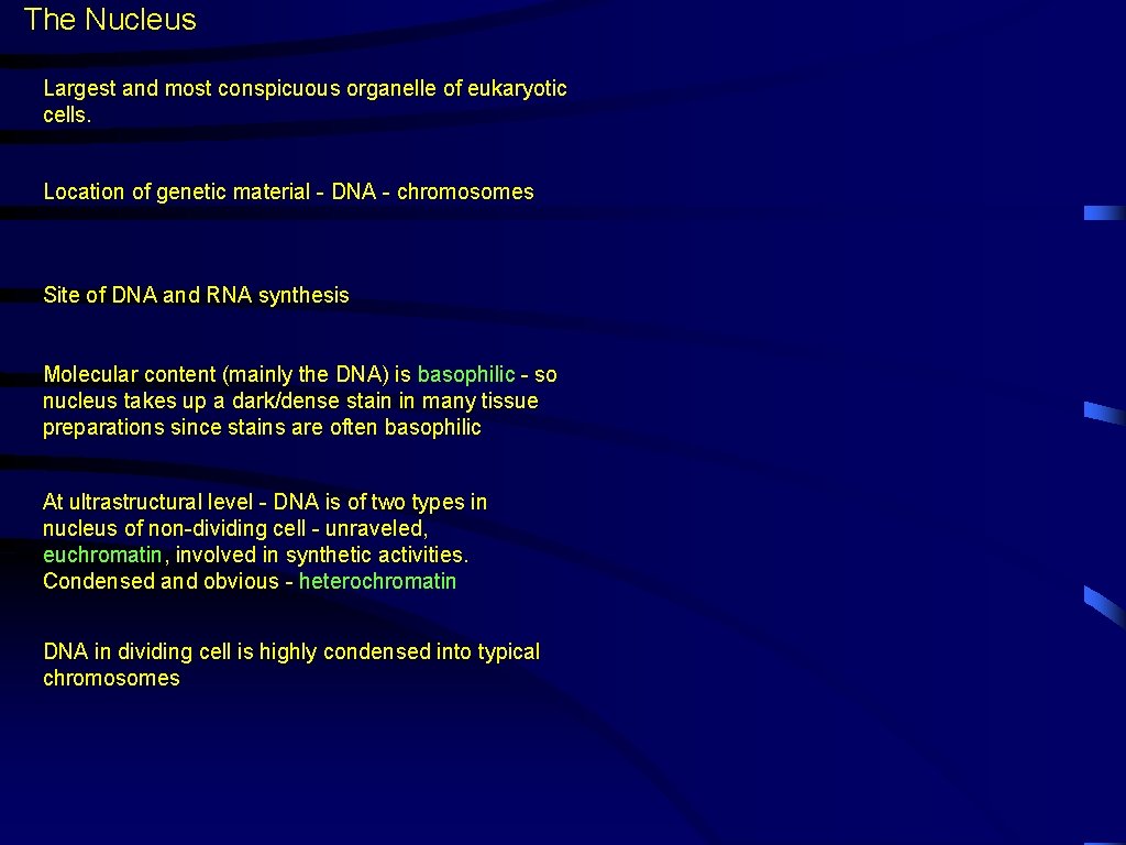 The Nucleus Largest and most conspicuous organelle of eukaryotic cells. Location of genetic material