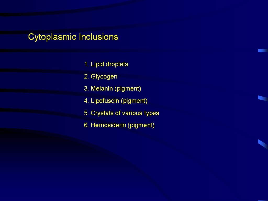 Cytoplasmic Inclusions 1. Lipid droplets 2. Glycogen 3. Melanin (pigment) 4. Lipofuscin (pigment) 5.