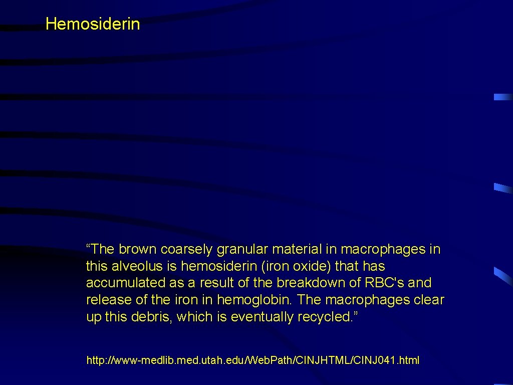 Hemosiderin “The brown coarsely granular material in macrophages in this alveolus is hemosiderin (iron