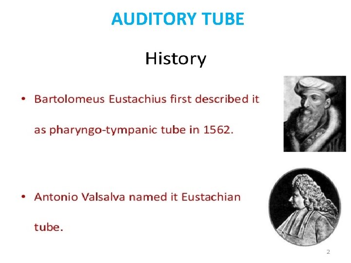 AUDITORY TUBE 