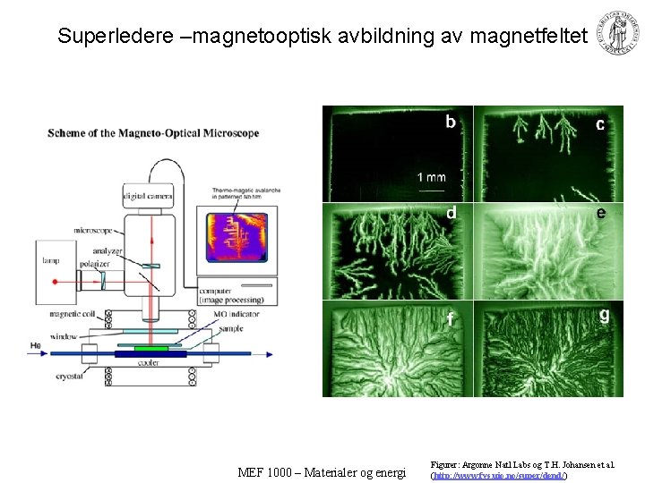 Superledere –magnetooptisk avbildning av magnetfeltet MEF 1000 – Materialer og energi Figurer: Argonne Natl