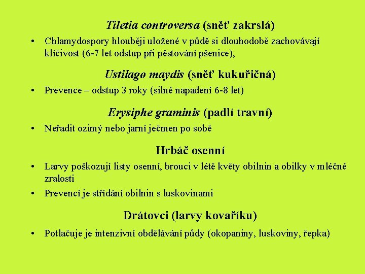 Tiletia controversa (sněť zakrslá) • Chlamydospory hlouběji uložené v půdě si dlouhodobě zachovávají klíčivost