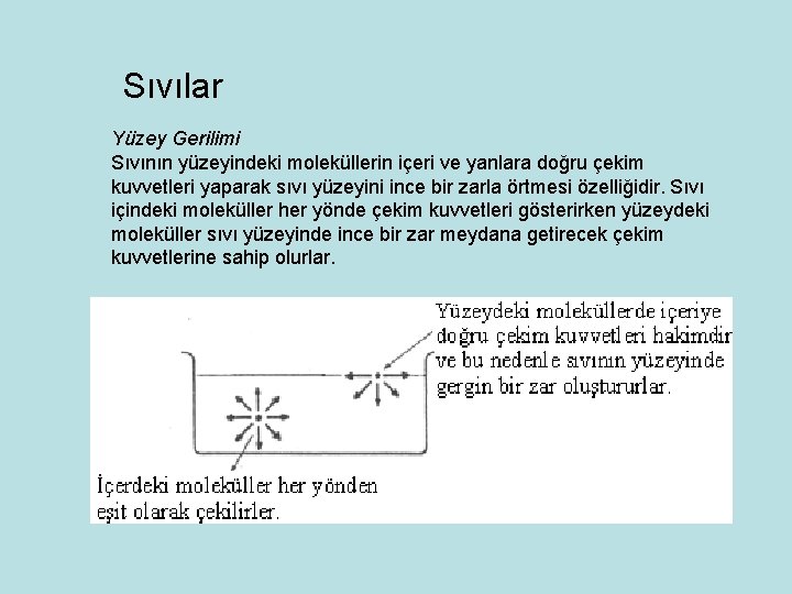 Sıvılar Yüzey Gerilimi Sıvının yüzeyindeki moleküllerin içeri ve yanlara doğru çekim kuvvetleri yaparak sıvı