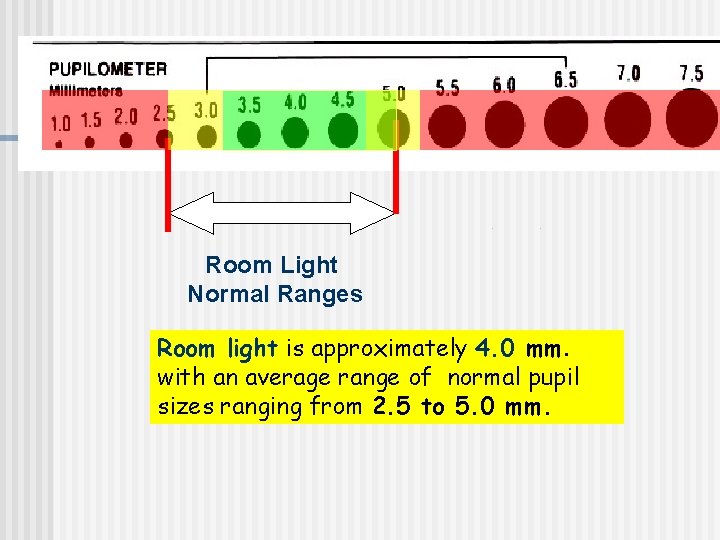 Room Light Normal Ranges Room light is approximately 4. 0 mm. with an average