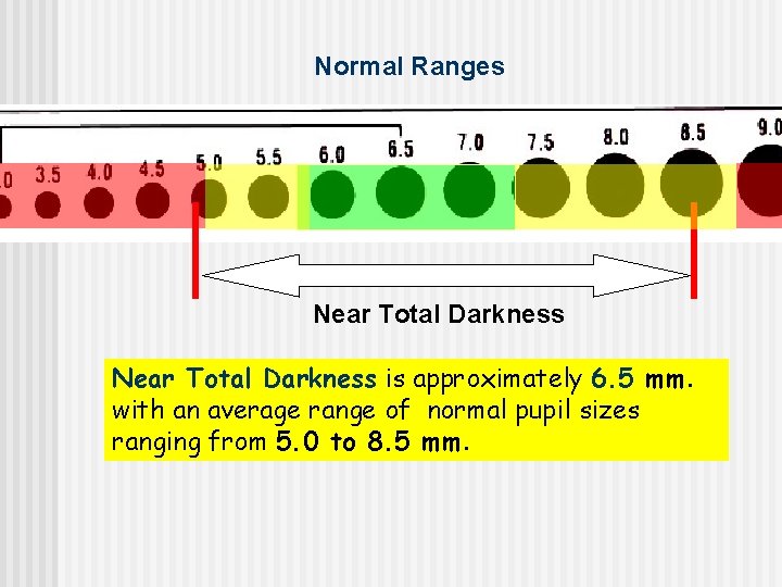 Normal Ranges Near Total Darkness is approximately 6. 5 mm. with an average range