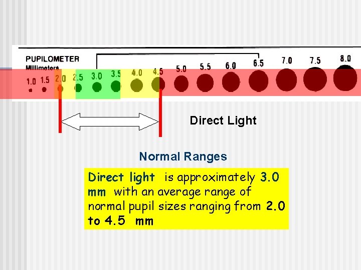 Direct Light Normal Ranges Direct light is approximately 3. 0 mm with an average