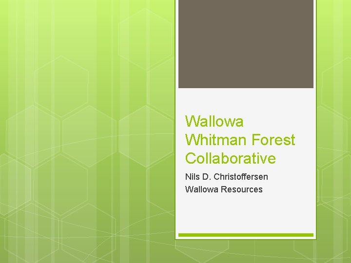 Wallowa Whitman Forest Collaborative Nils D. Christoffersen Wallowa Resources 