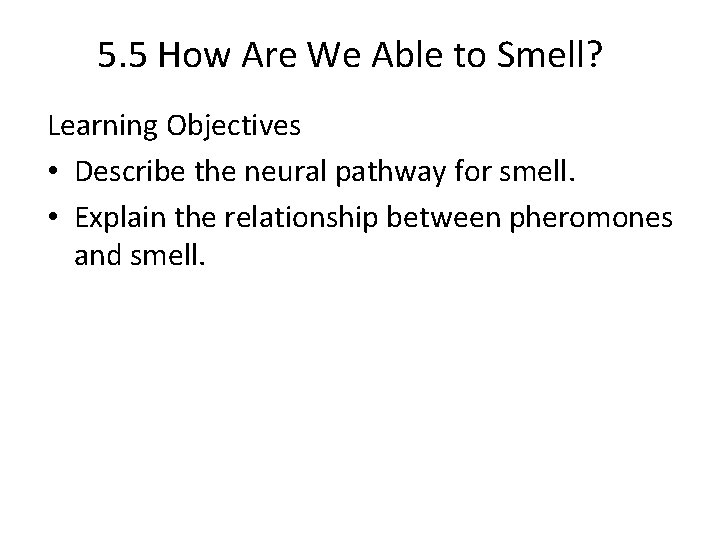 5. 5 How Are We Able to Smell? Learning Objectives • Describe the neural 5. 5 How Are We Able to Smell? Learning Objectives • Describe the neural