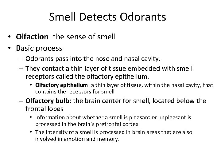Smell Detects Odorants • Olfaction: the sense of smell • Basic process – Odorants Smell Detects Odorants • Olfaction: the sense of smell • Basic process – Odorants