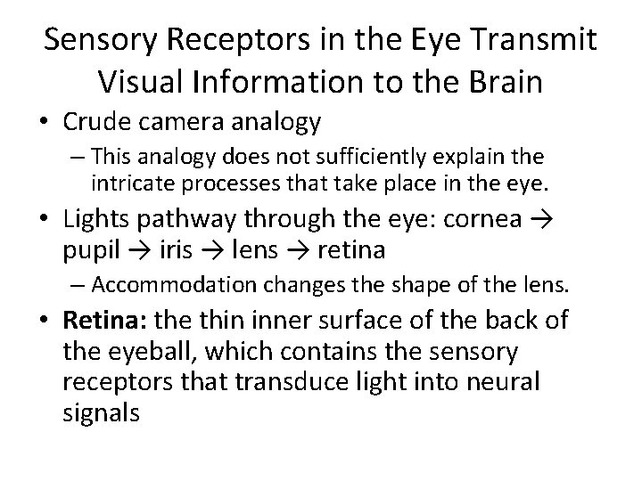 Sensory Receptors in the Eye Transmit Visual Information to the Brain • Crude camera Sensory Receptors in the Eye Transmit Visual Information to the Brain • Crude camera