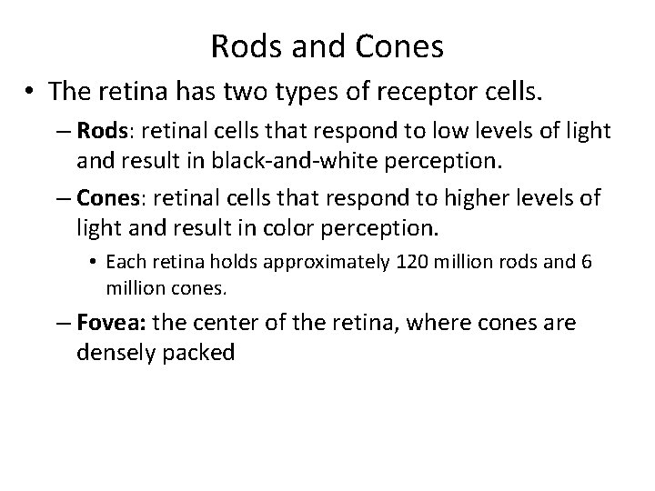 Rods and Cones • The retina has two types of receptor cells. – Rods: Rods and Cones • The retina has two types of receptor cells. – Rods: