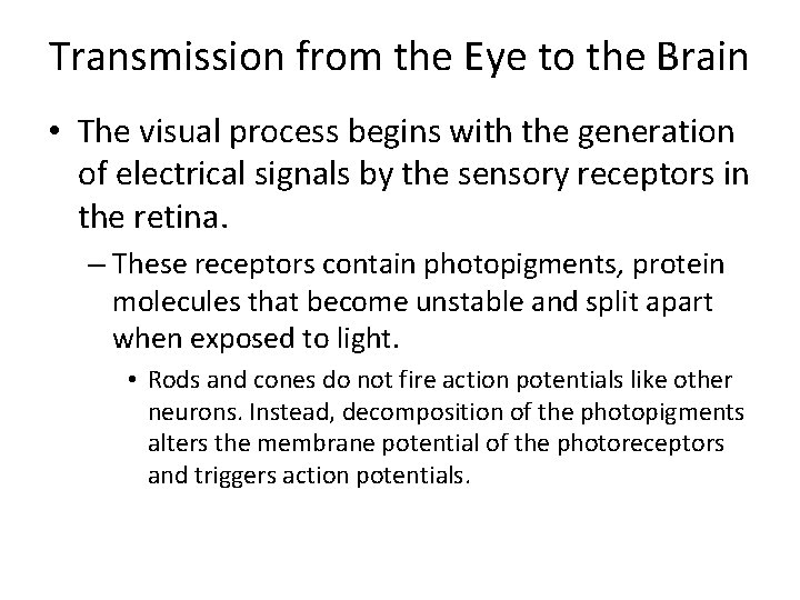 Transmission from the Eye to the Brain • The visual process begins with the Transmission from the Eye to the Brain • The visual process begins with the