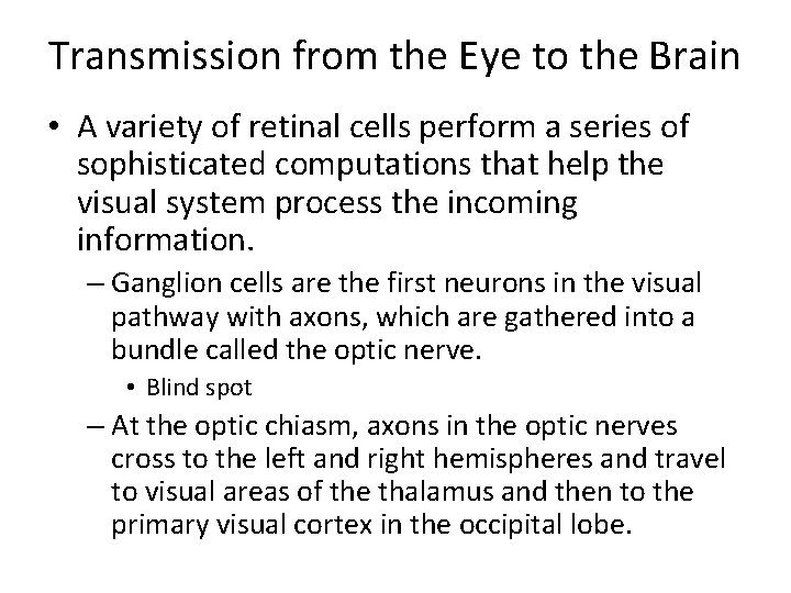 Transmission from the Eye to the Brain • A variety of retinal cells perform Transmission from the Eye to the Brain • A variety of retinal cells perform