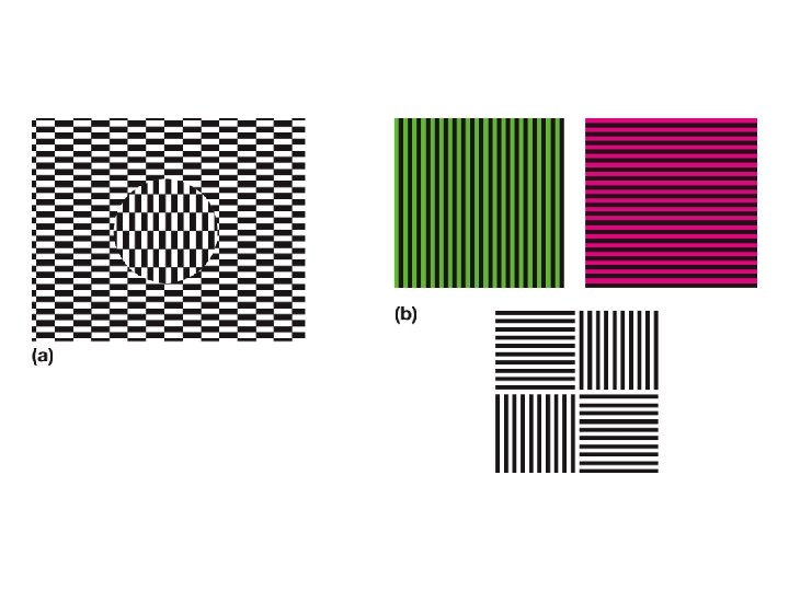 Figure A depicts the Ouchi illusion where a background of black and white is Figure A depicts the Ouchi illusion where a background of black and white is