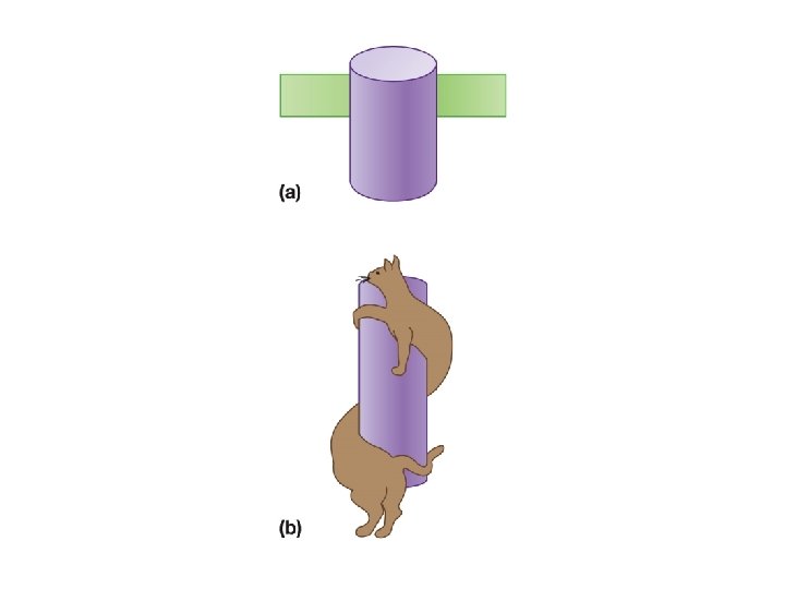 Image A depicts a bar behind a cylinder that is interpreted to be continuous Image A depicts a bar behind a cylinder that is interpreted to be continuous