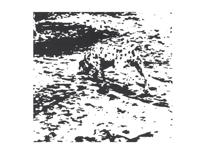 Black fragments on a white background appear to form together to show a dog Black fragments on a white background appear to form together to show a dog