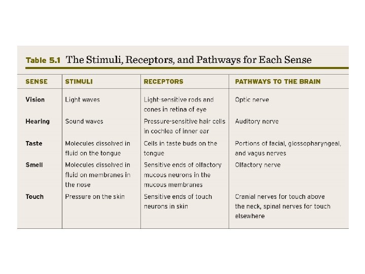Table displaying the Stimuli, Receptors, and Pathways for Each Sense Table displaying the Stimuli, Receptors, and Pathways for Each Sense