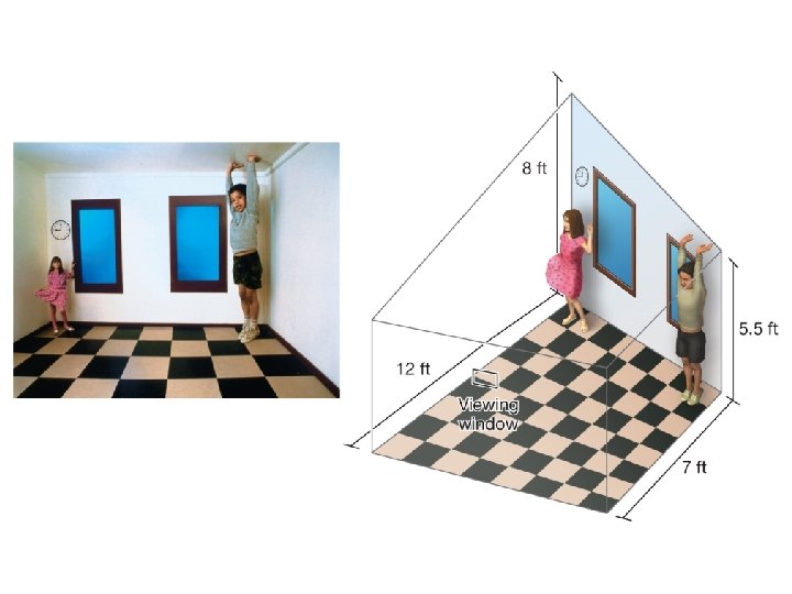 Ames box which is a diagonal room that skews depth information to contrast two Ames box which is a diagonal room that skews depth information to contrast two