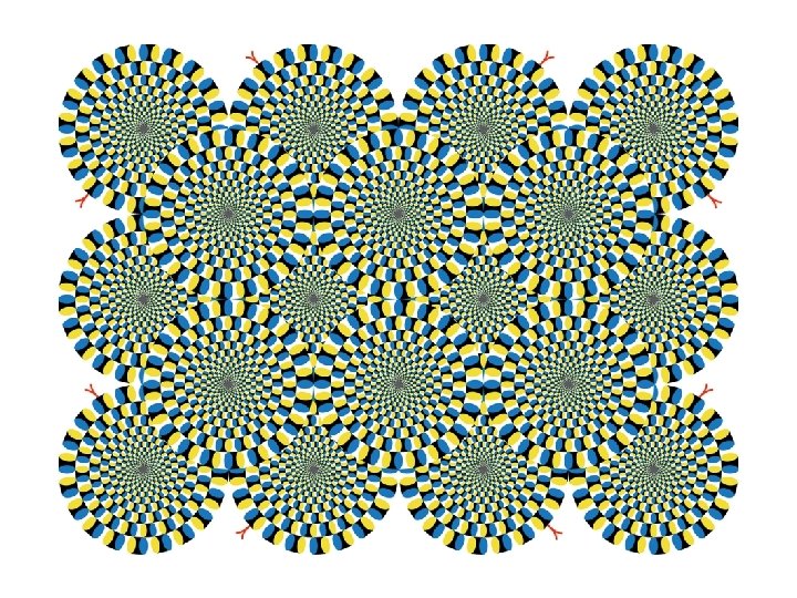 Rotating Snakes Illusion where a series of coiled snakes appear to be moving due Rotating Snakes Illusion where a series of coiled snakes appear to be moving due