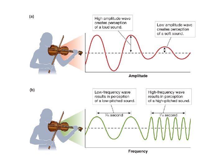 Image A depicts the amplitude of sound waves from a violin player. Image B Image A depicts the amplitude of sound waves from a violin player. Image B