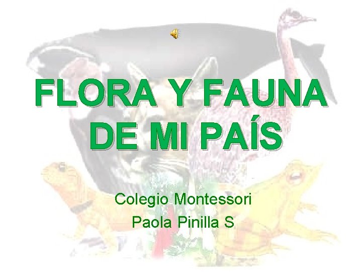 FLORA Y FAUNA DE MI PAÍS Colegio Montessori Paola Pinilla S 