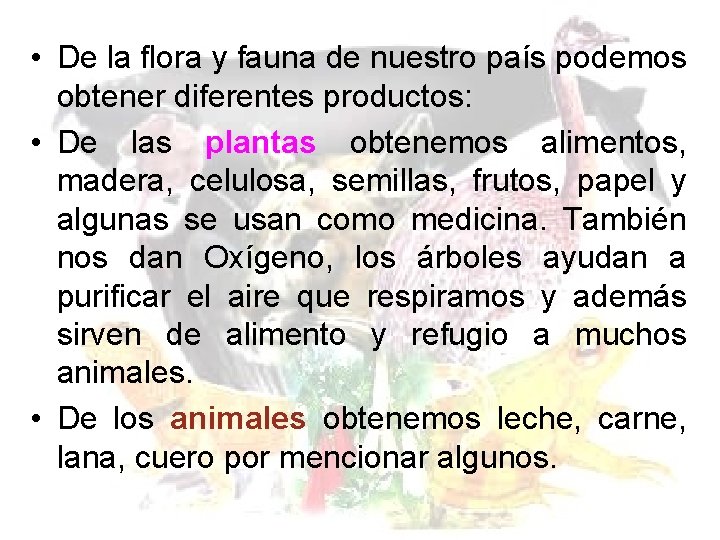  • De la flora y fauna de nuestro país podemos obtener diferentes productos:
