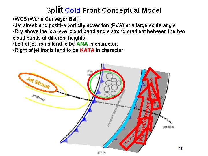 Split Cold Front Conceptual Model m C on ve yo Warmr Belt Conve o