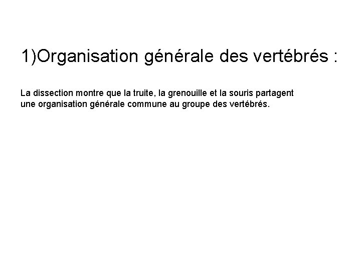 1)Organisation générale des vertébrés : La dissection montre que la truite, la grenouille et