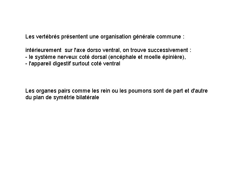 Les vertébrés présentent une organisation générale commune : intérieurement sur l'axe dorso ventral, on