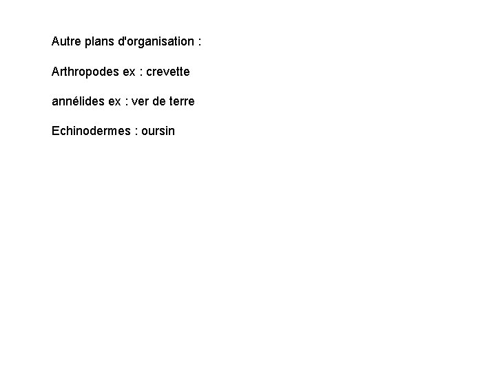 Autre plans d'organisation : Arthropodes ex : crevette annélides ex : ver de terre