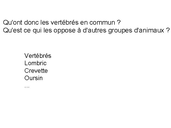 Qu'ont donc les vertébrés en commun ? Qu'est ce qui les oppose à d'autres