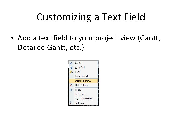 Customizing a Text Field • Add a text field to your project view (Gantt,