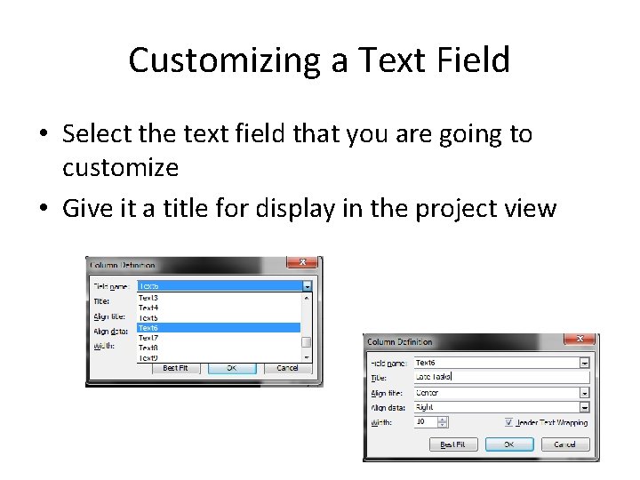 Customizing a Text Field • Select the text field that you are going to