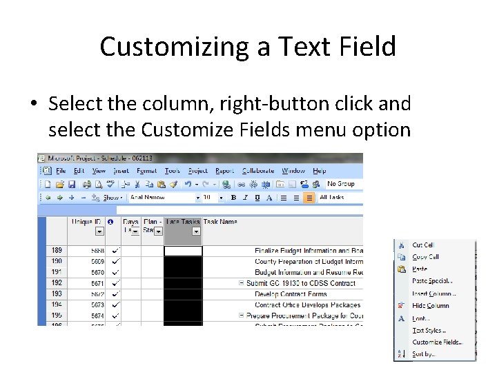 Customizing a Text Field • Select the column, right-button click and select the Customize