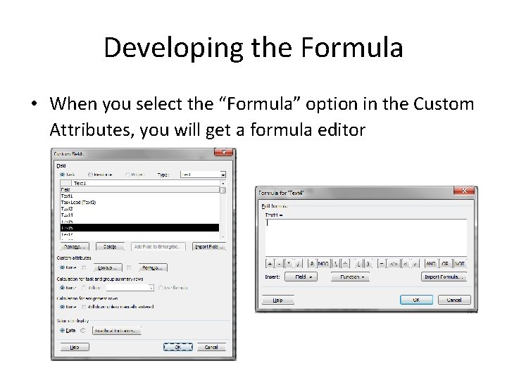 Developing the Formula • When you select the “Formula” option in the Custom Attributes,