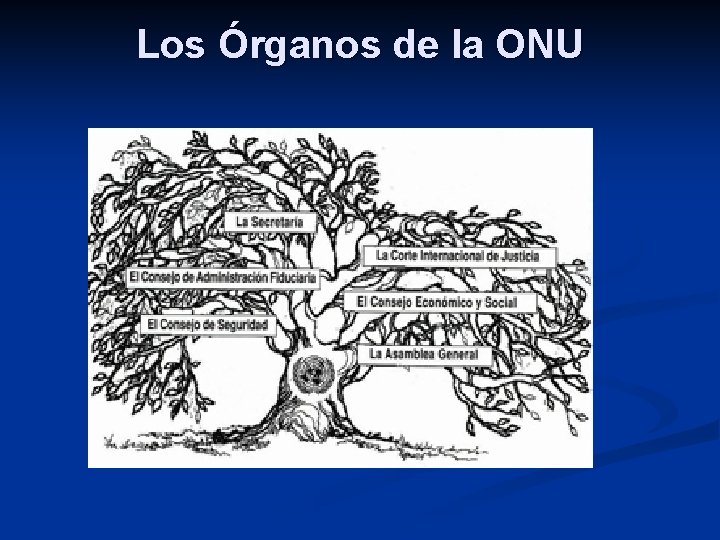 Los Órganos de la ONU 