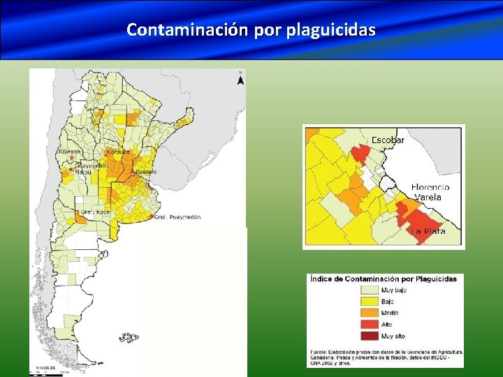 Contaminación por plaguicidas 