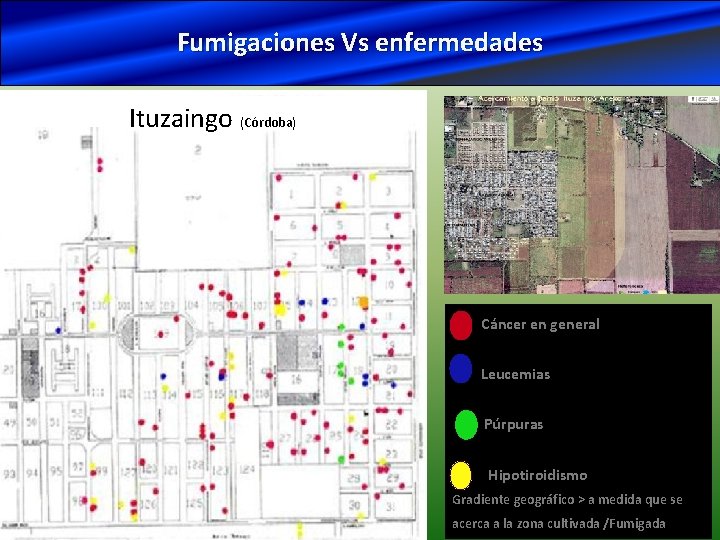 Fumigaciones Vs enfermedades Ituzaingo (Córdoba) Cáncer en general Leucemias Púrpuras Hipotiroidismo Gradiente geográfico >