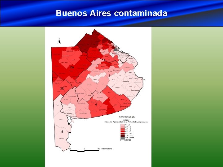 Buenos Aires contaminada 