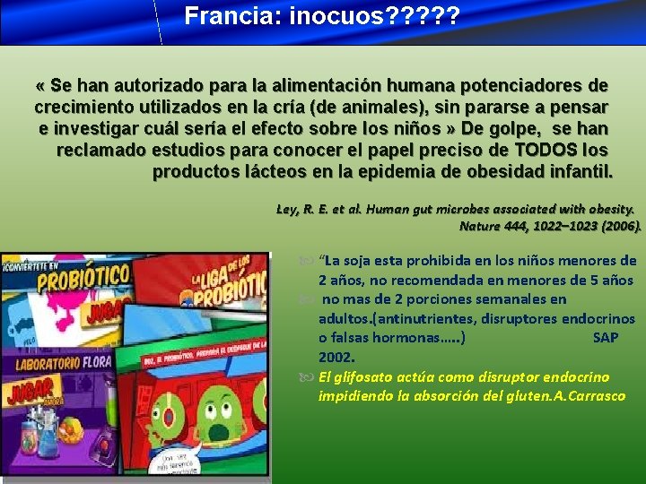 Francia: inocuos? ? ? « Se han autorizado para la alimentación humana potenciadores de