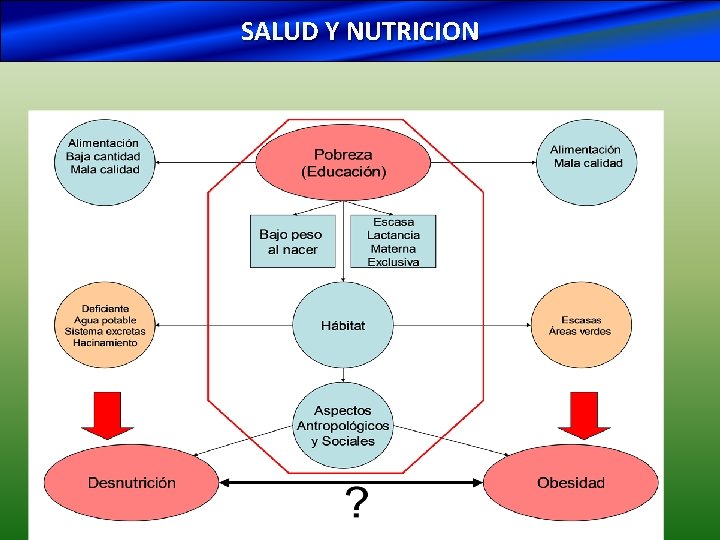  argentina-agroquimicos-1170 -2. jpg SALUD Y NUTRICION 