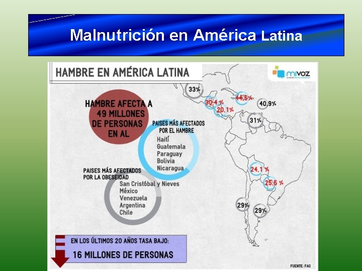 Malnutrición en América Latina 