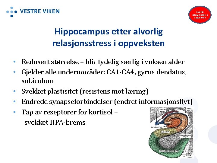 Alvorlig relasjonsstress i oppveksten Hippocampus etter alvorlig relasjonsstress i oppveksten • Redusert størrelse –